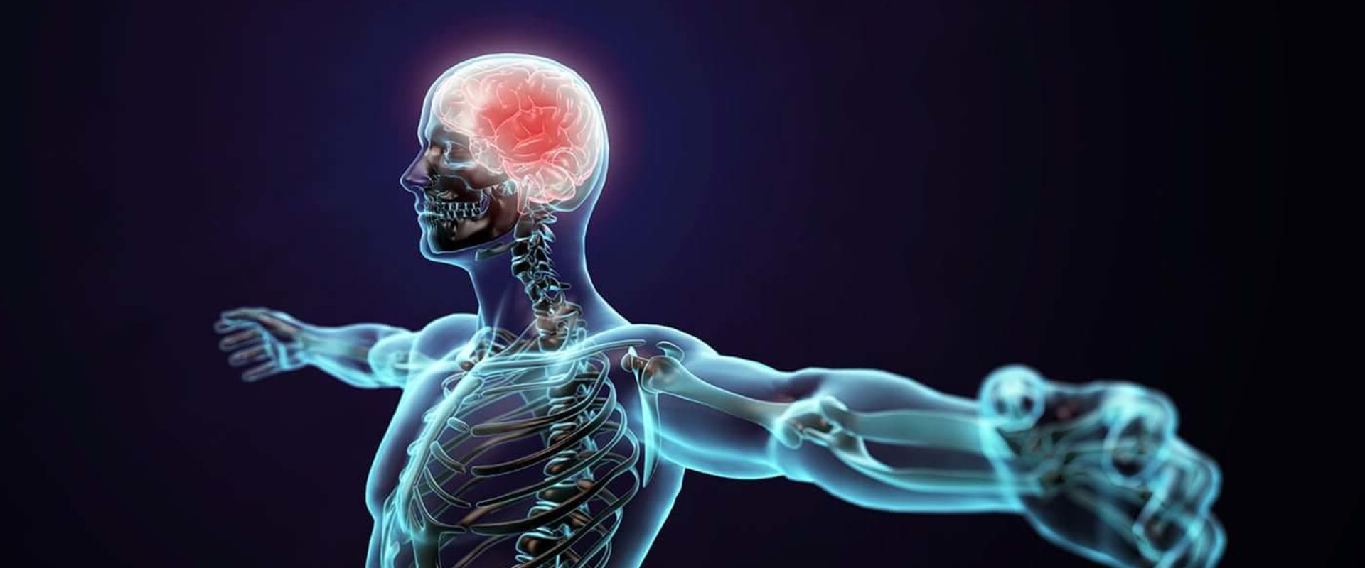 Which neurotransmitter does methamphetamine affect?