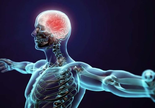 Which neurotransmitter does methamphetamine affect?
